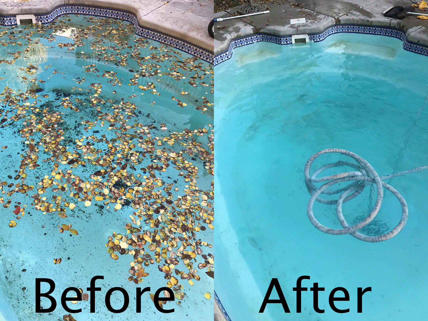5 Star Pool Cleaning Before and After Clean Pool